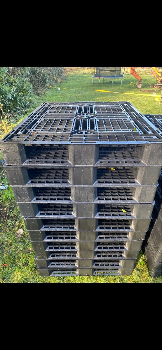 Plastic Pallets - Image 2