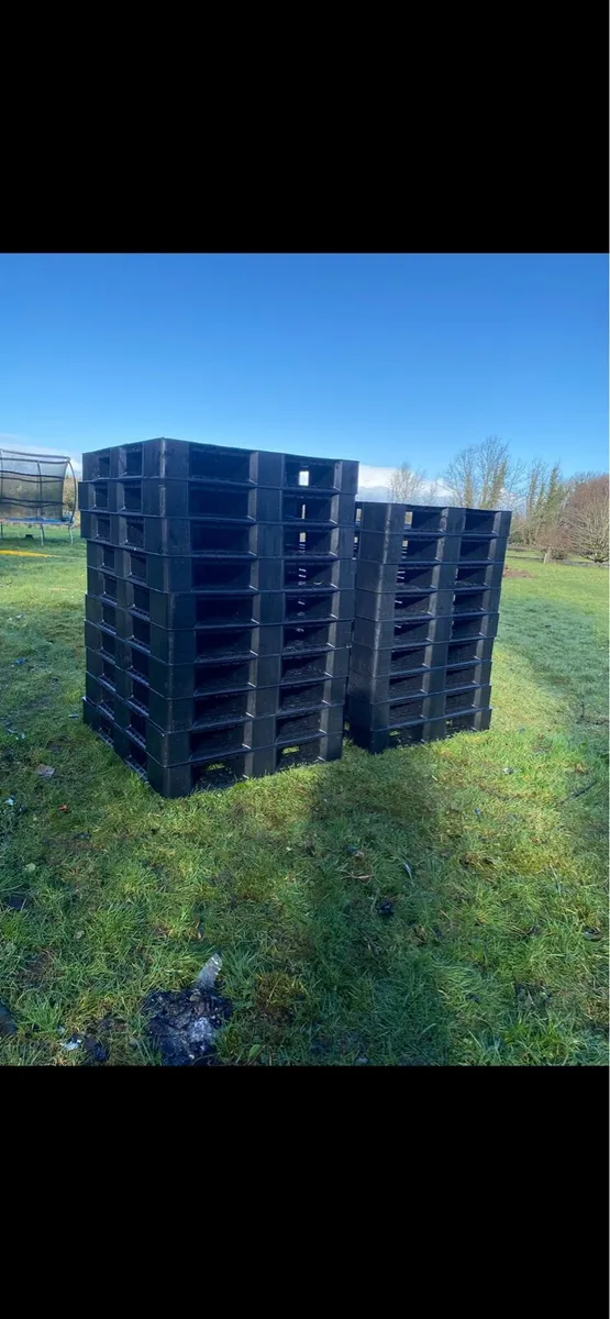 Plastic Pallets - Image 3