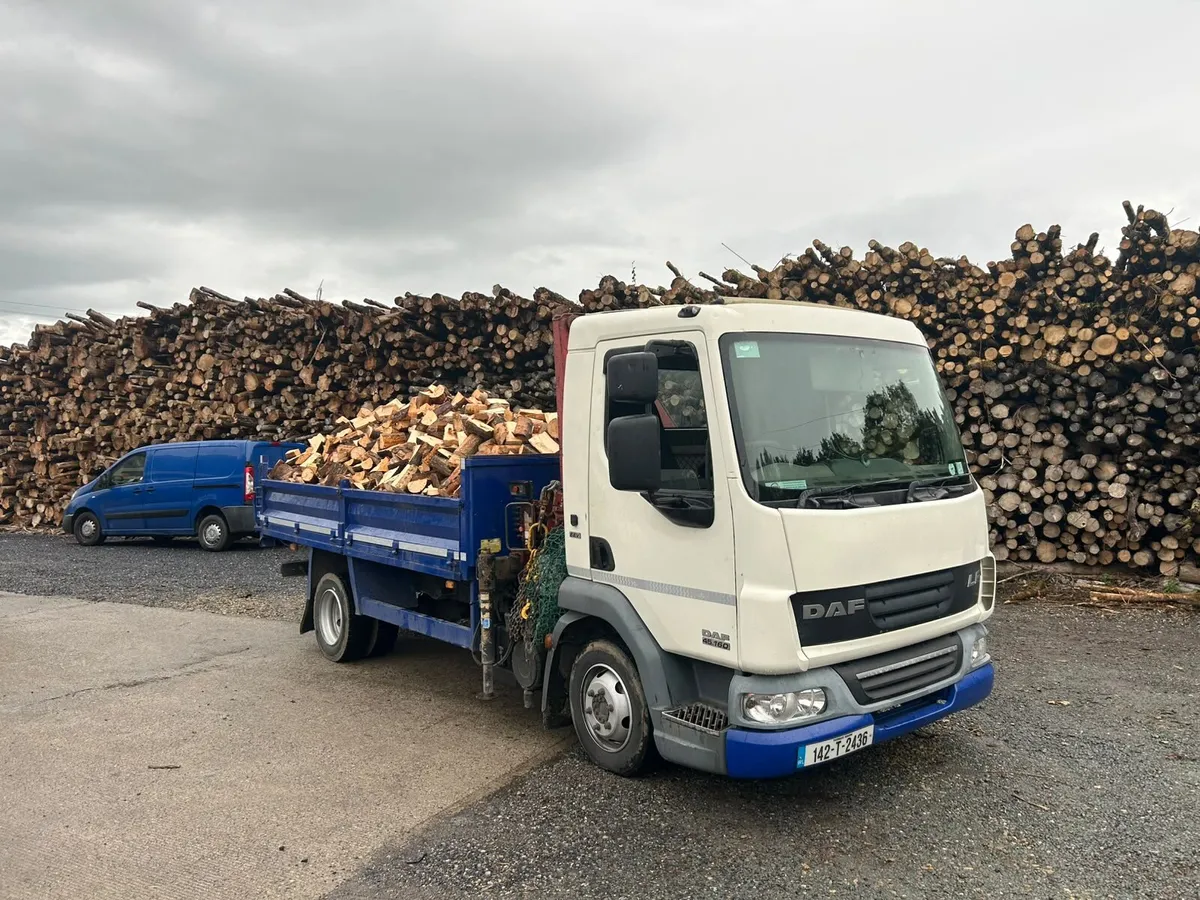 TOP Quailty Dry Ash  Firewood - Image 4