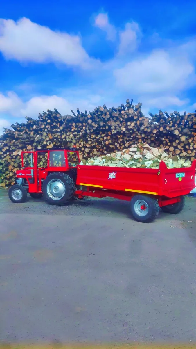 TOP Quailty Dry Ash  Firewood - Image 2