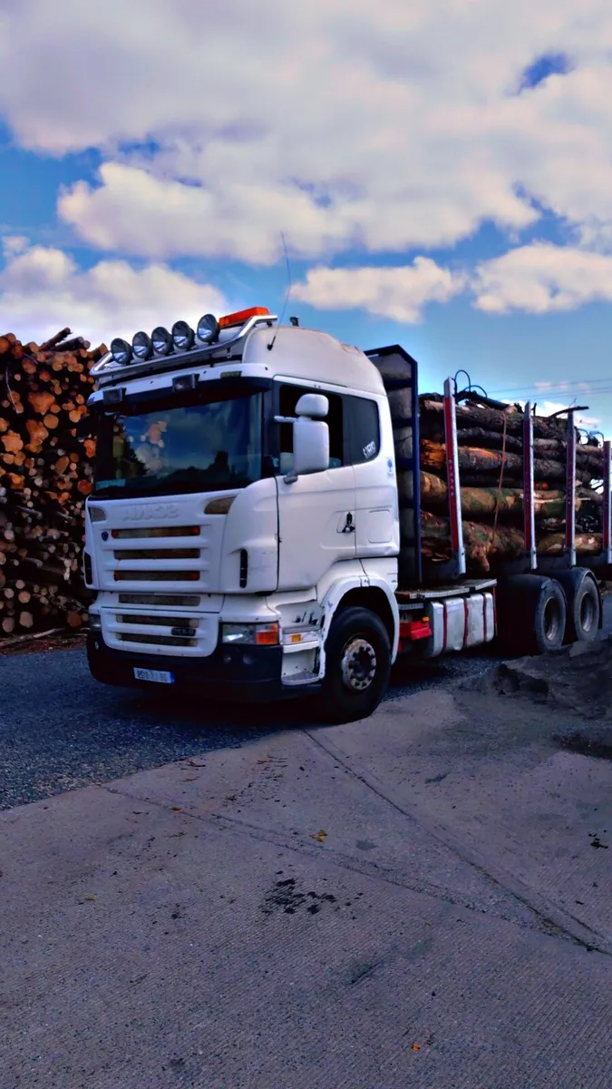 TOP Quailty Dry Ash  Firewood - Image 3
