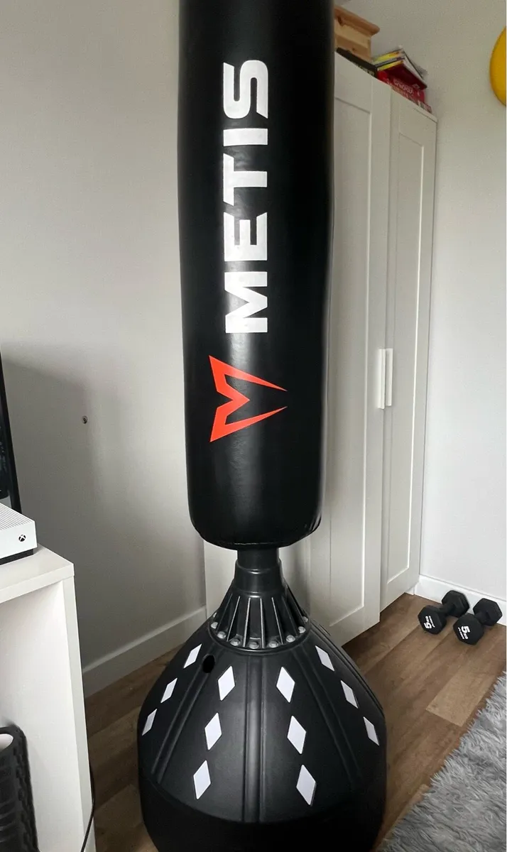 Free standing Punching bag - Image 1