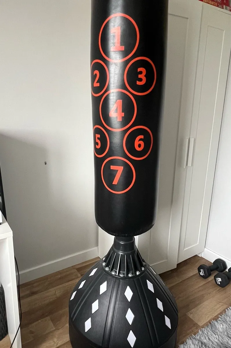 Free standing Punching bag - Image 2