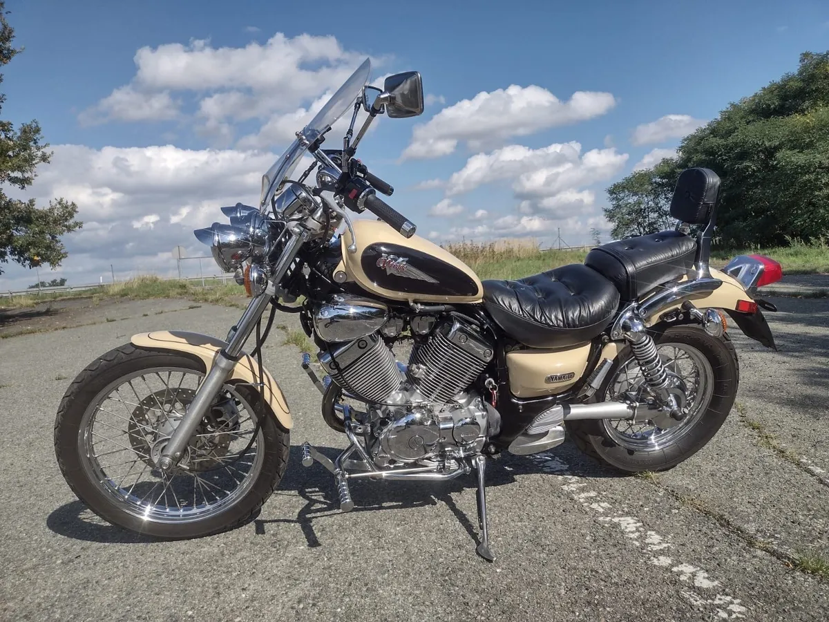 Yamaha virago 535 Dx - Mint cbf600 N - Image 2