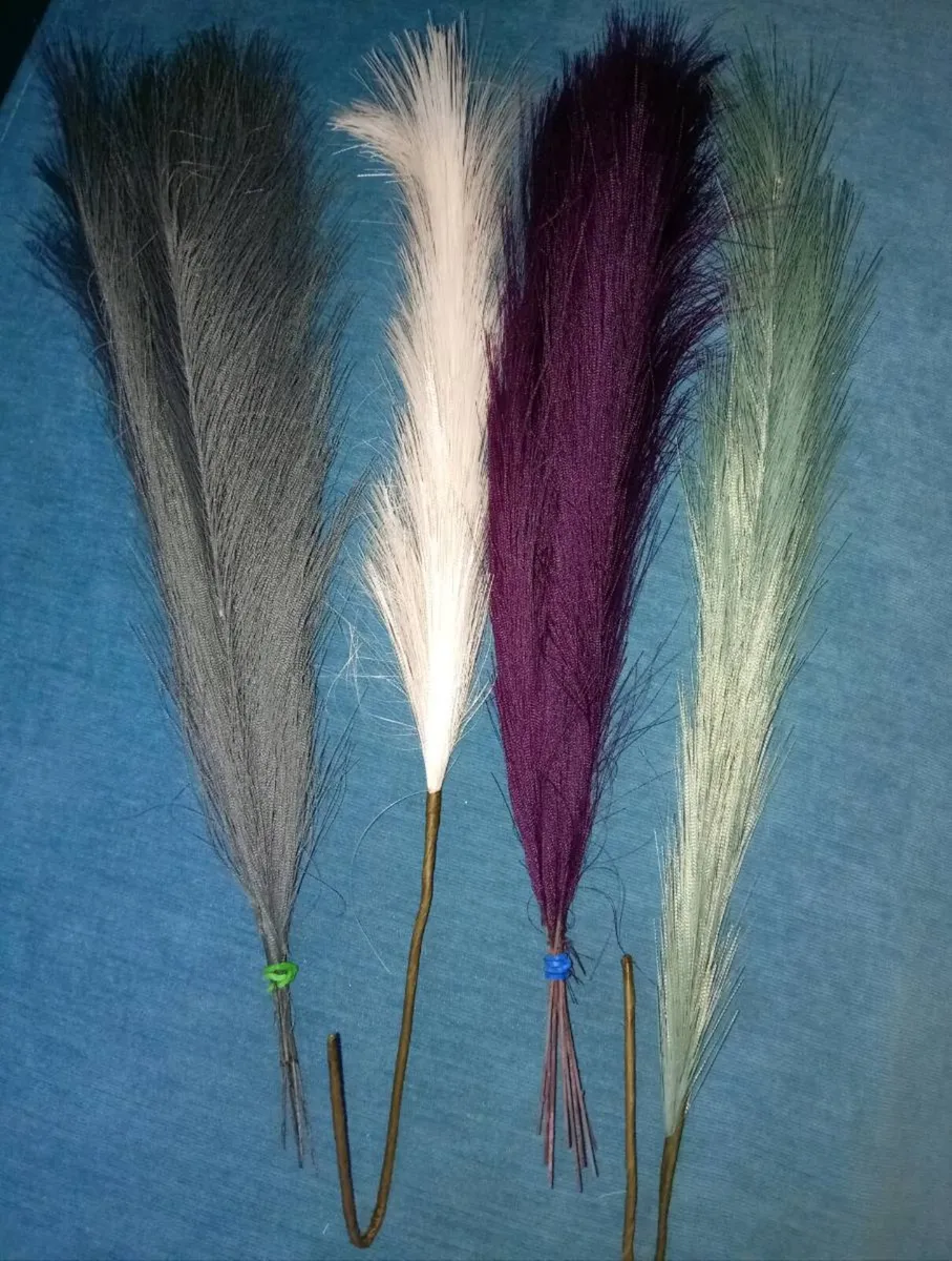 Pampas Grasses - Image 1