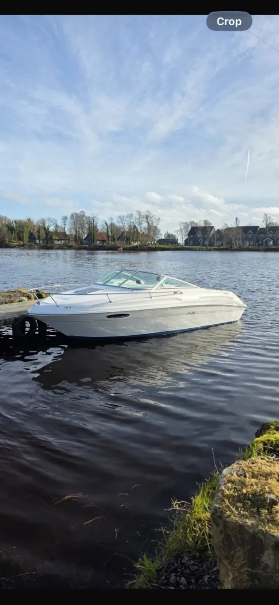 Searay 215 - Image 1