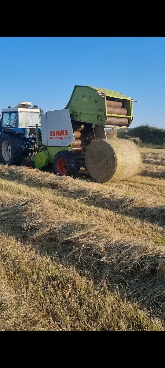 HAY - Image 2