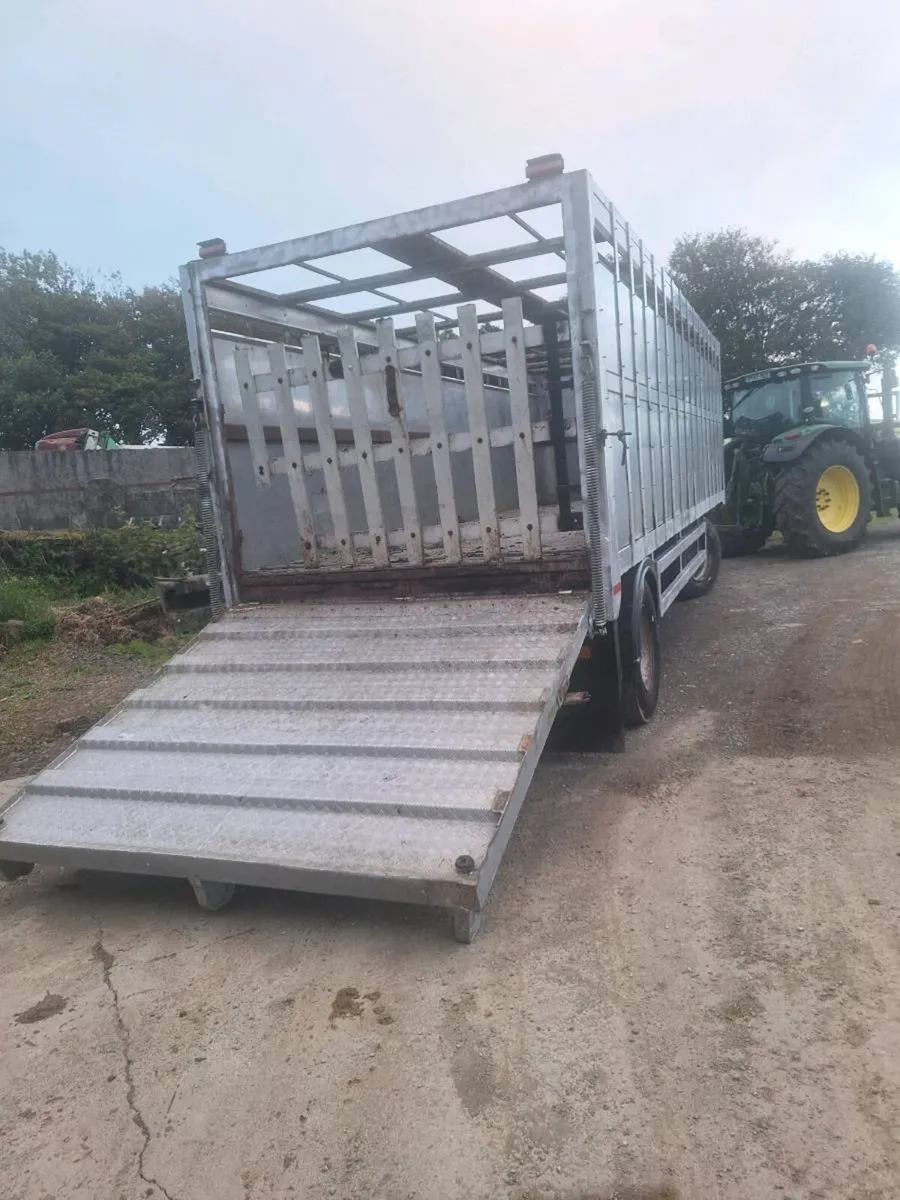 Cattle 25ft all alloy tractor trailer - Image 3
