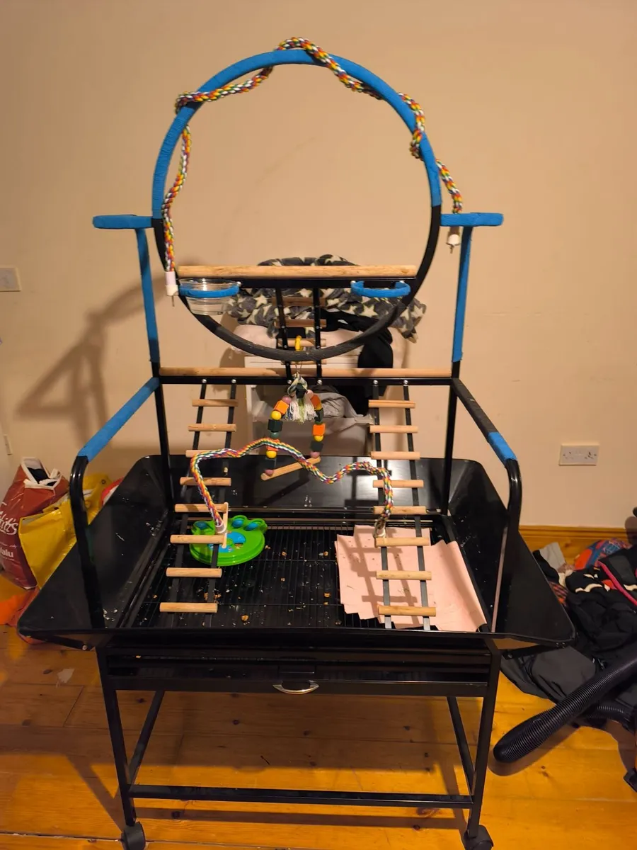 Parrot  and cages for Sale. €600 ono - Image 4