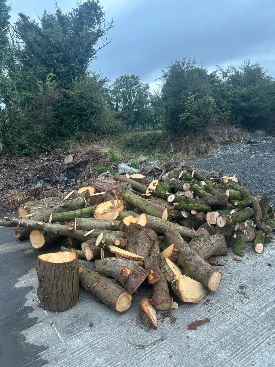 Firewood logs - Image 1