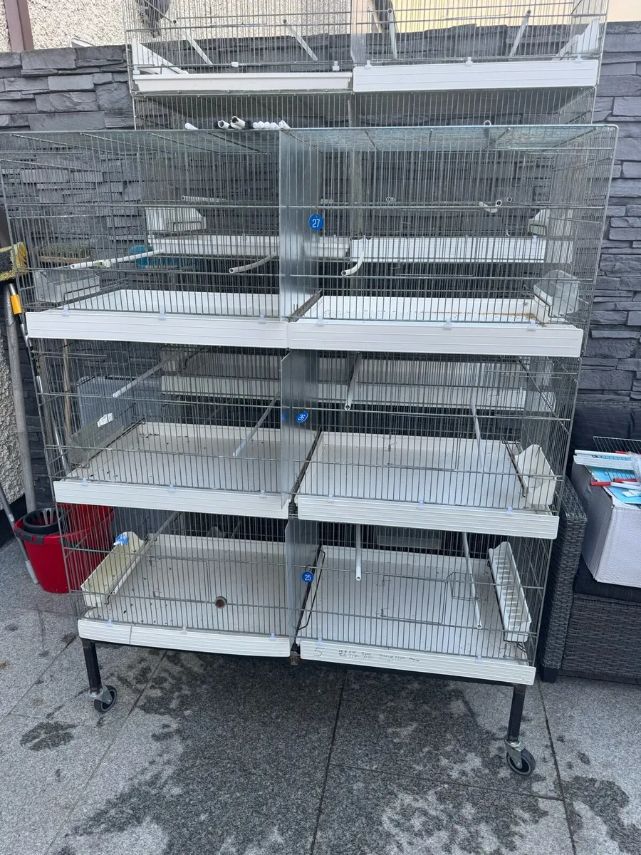 Cages - Image 1