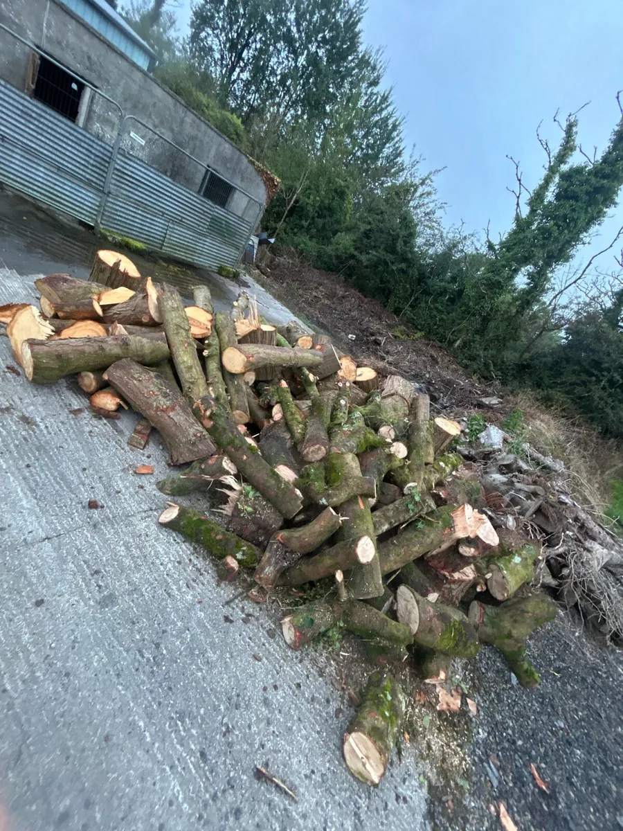 Firewood logs - Image 2
