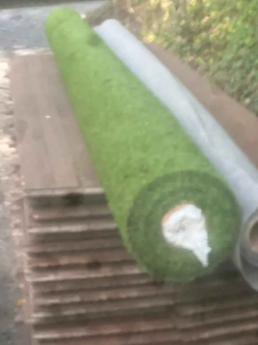 Artificial grass - Image 1