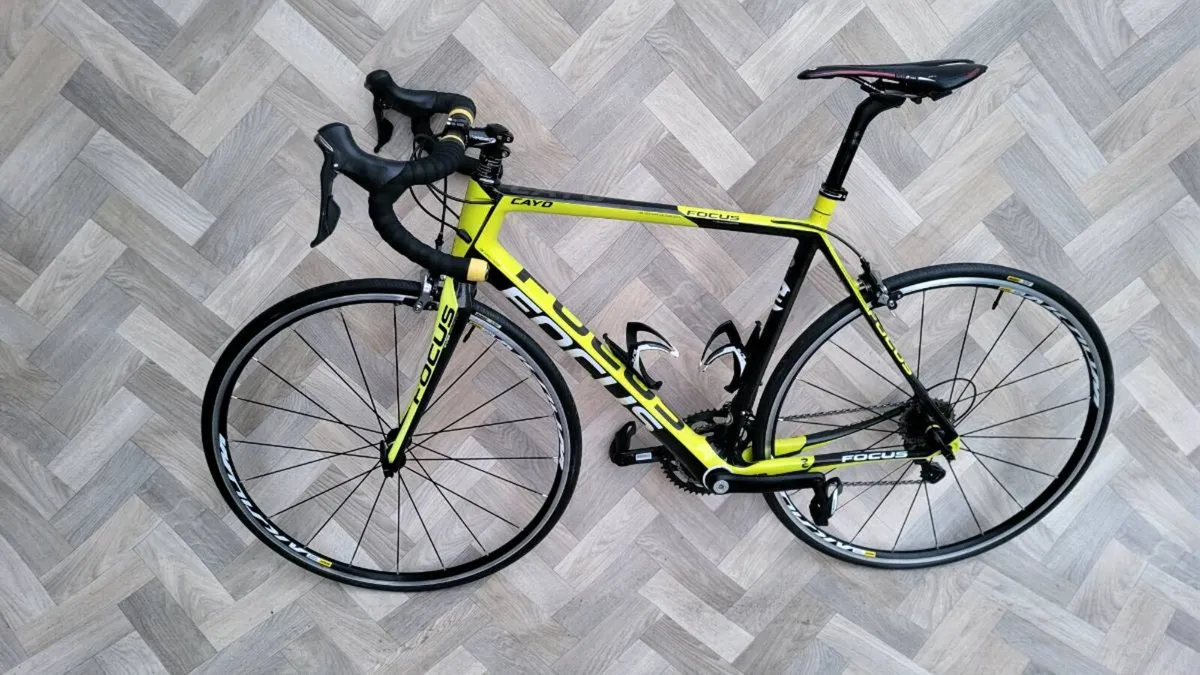 FOCUS CAYO, FULL CARBON, MADE IN GERMANY 🇩🇪 - Image 1
