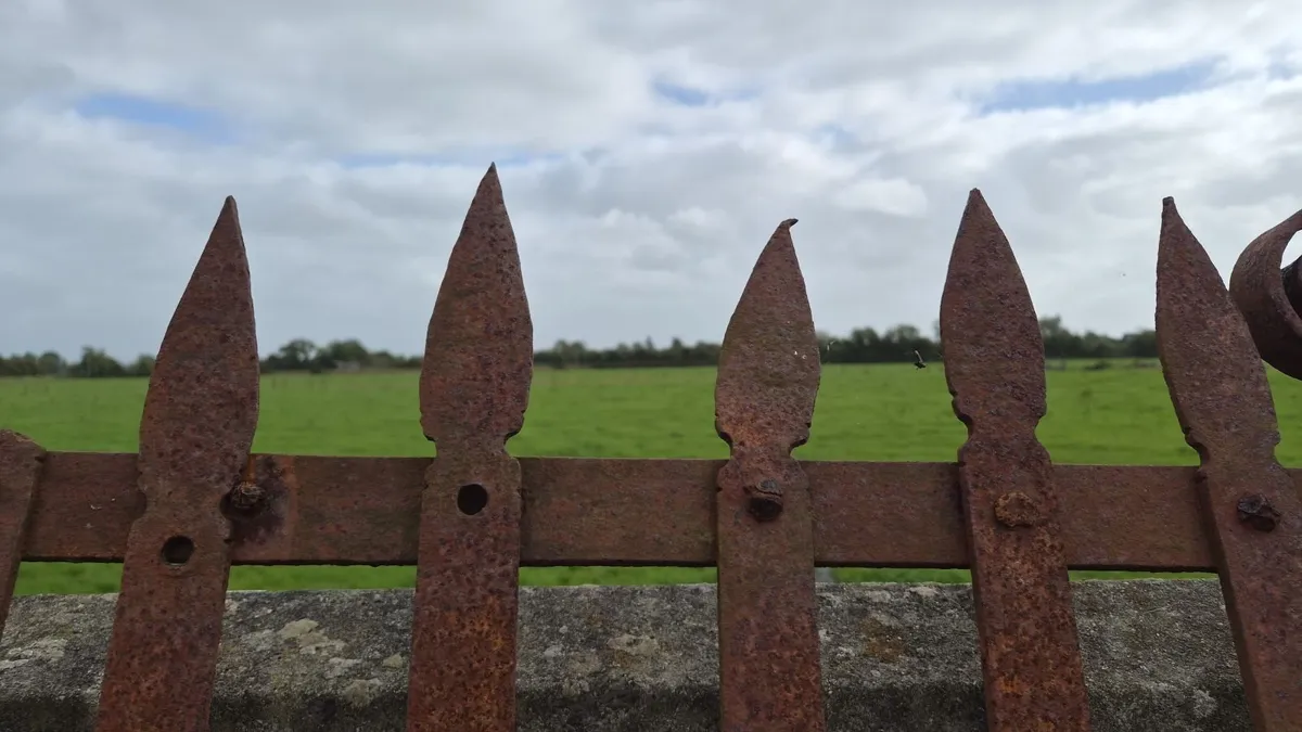 Blacksmith gates - Image 1