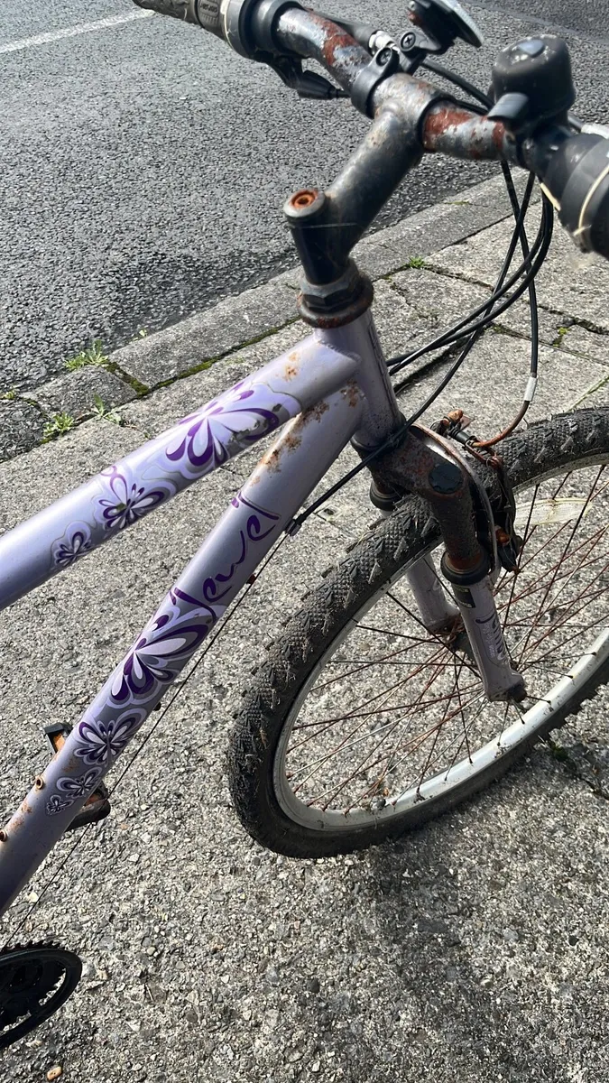 Bike - Image 1