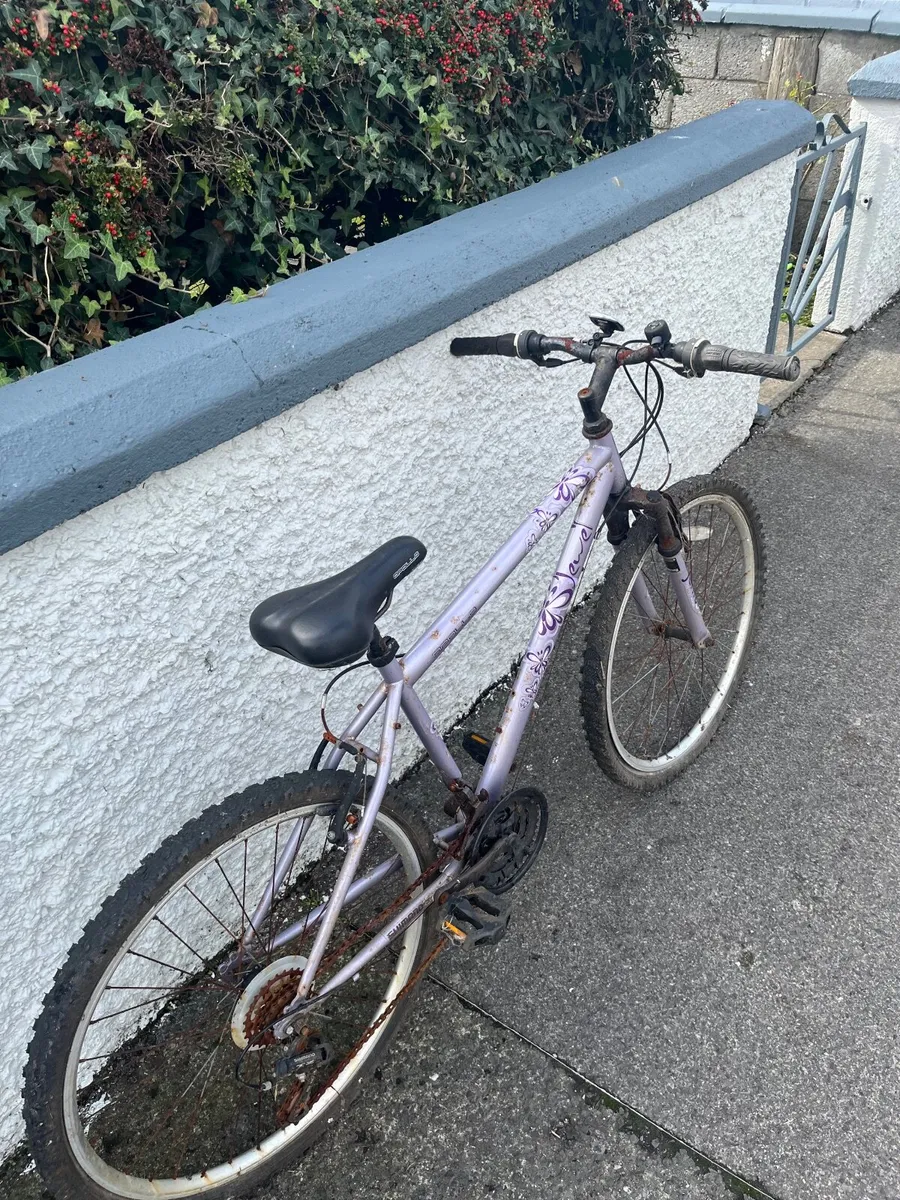 Bike - Image 2