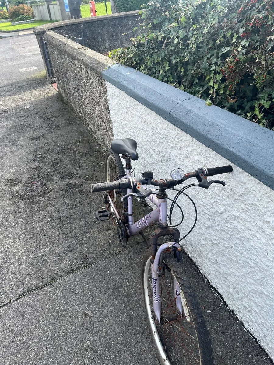 Bike - Image 3