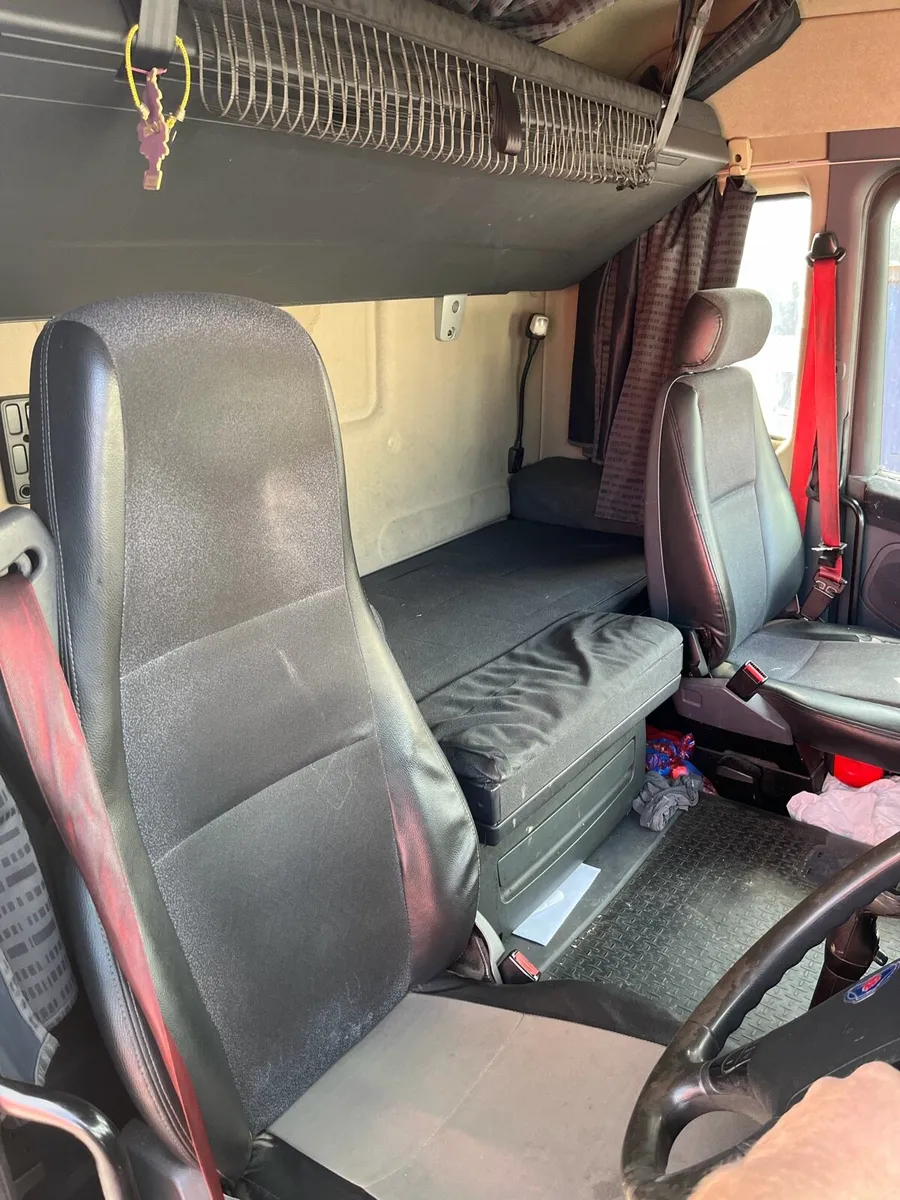 Scania beavertail - Image 4
