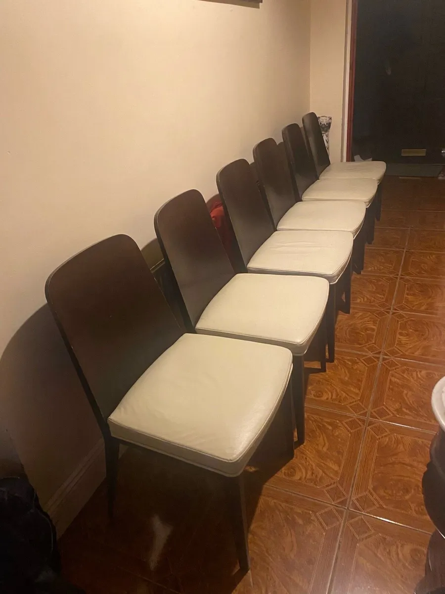 Dining chairs - Image 1