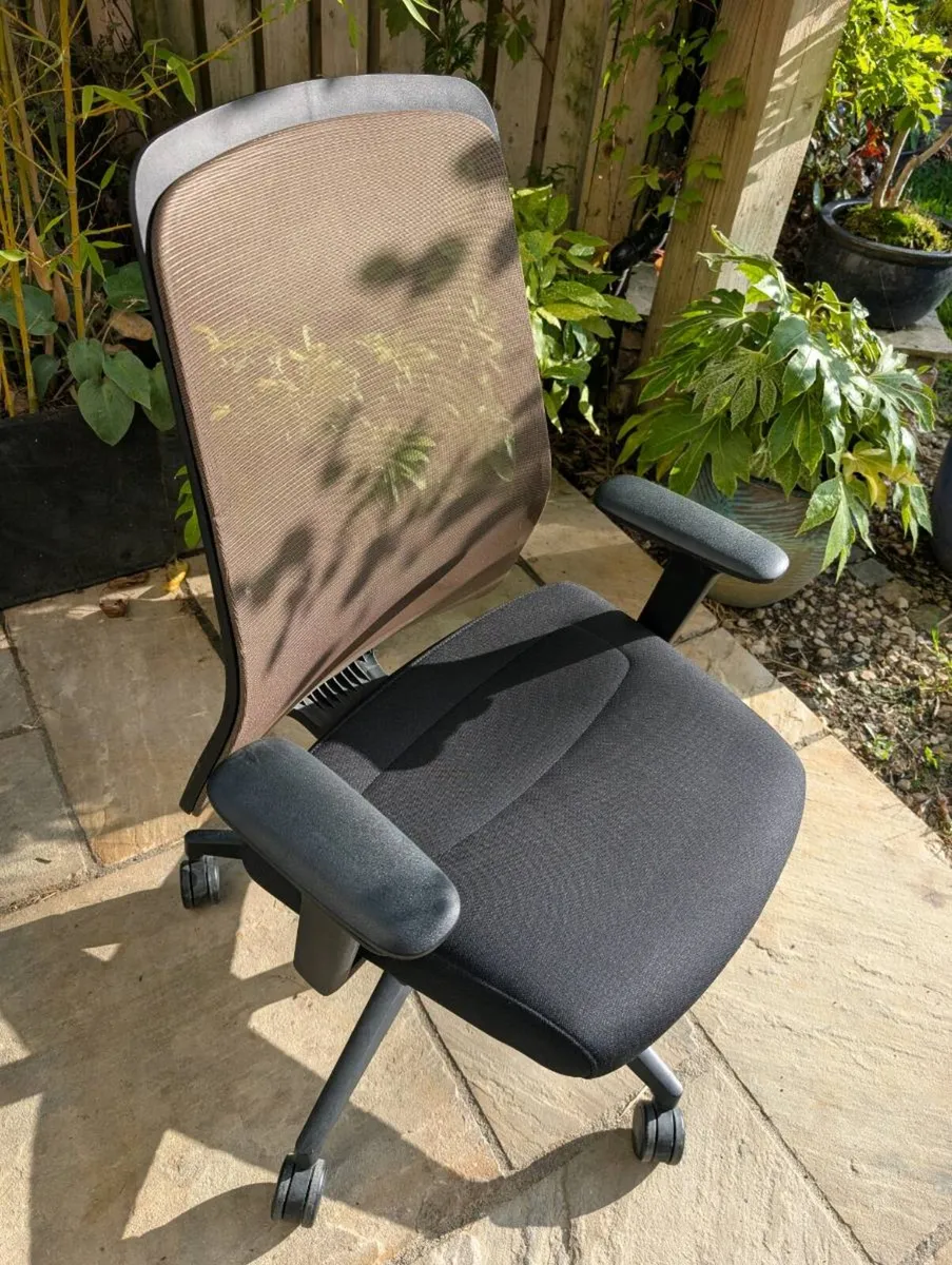 Ergonomic office chair - Image 1