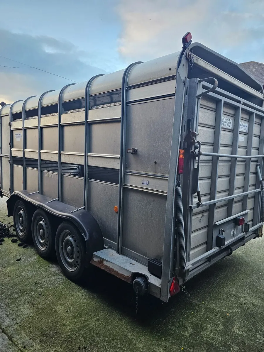 Tri-axel cattle trailer 14 ft - Image 1