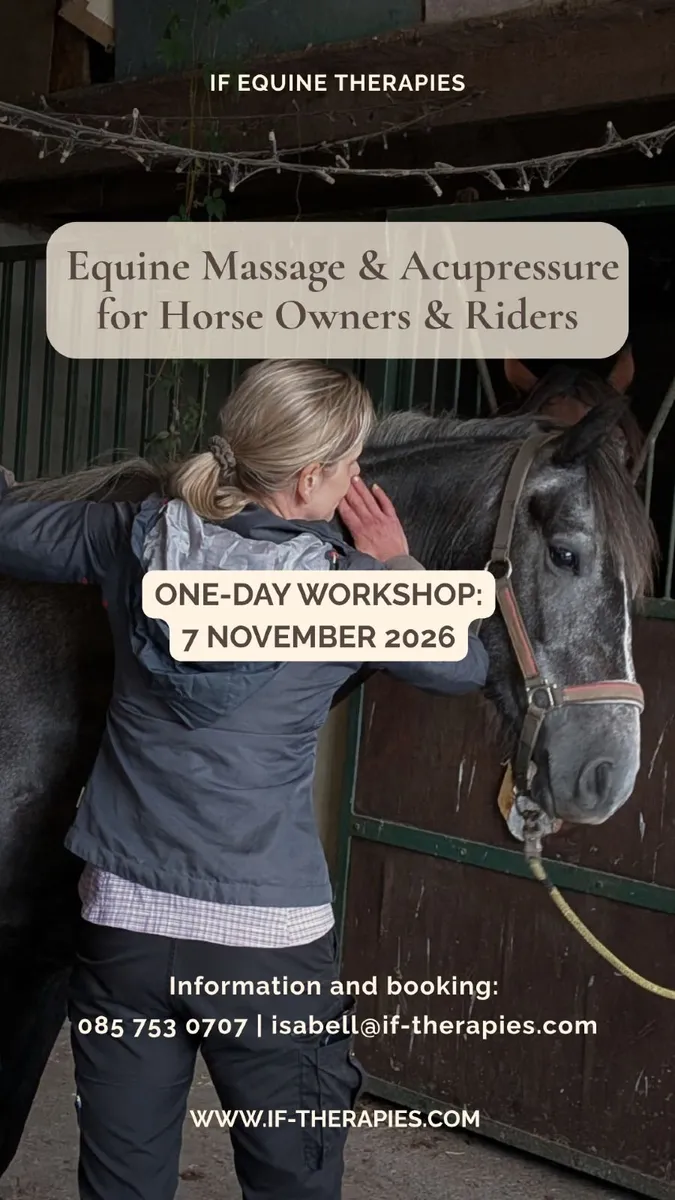 Equine Acupressure & Massage | 7 November 2026 - Image 1