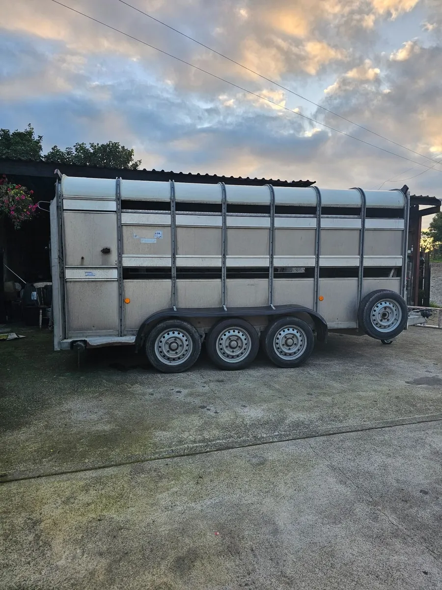 Tri-axel cattle trailer 14 ft - Image 4