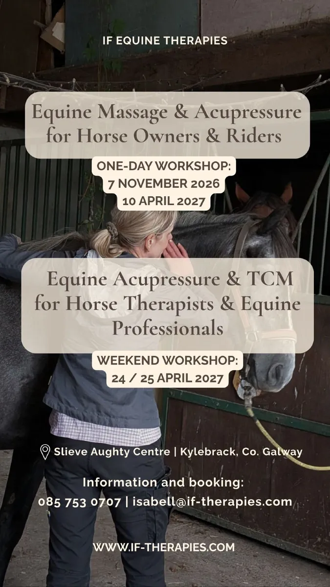 Equine Acupressure for Horse Therapists - Image 1