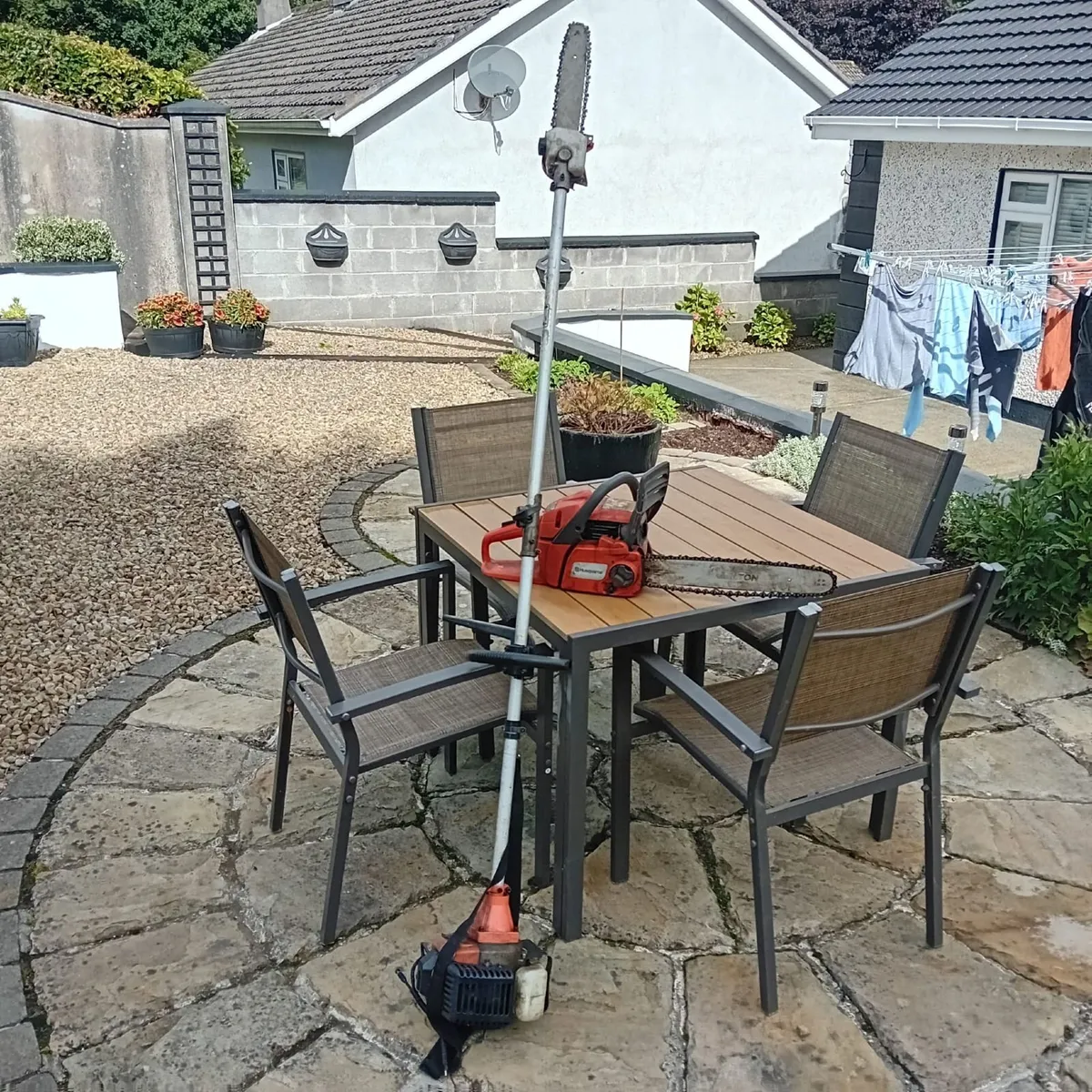 Chainsaw & tree pruner - Image 2