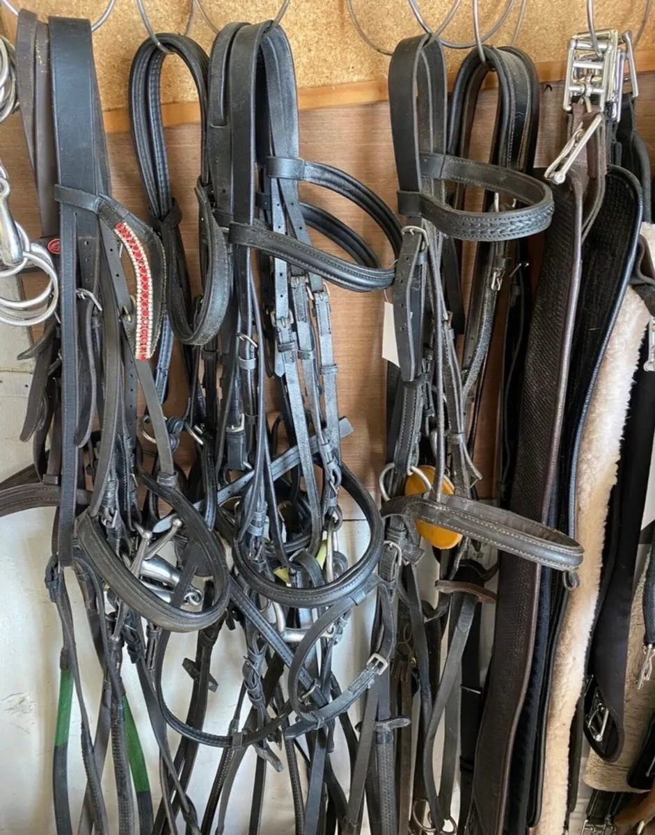 PONY TACK, RUGS & ACCESSORIES - Image 1