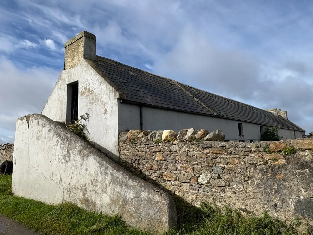 Blue Bangor Slates - You Must Remove - Image 3