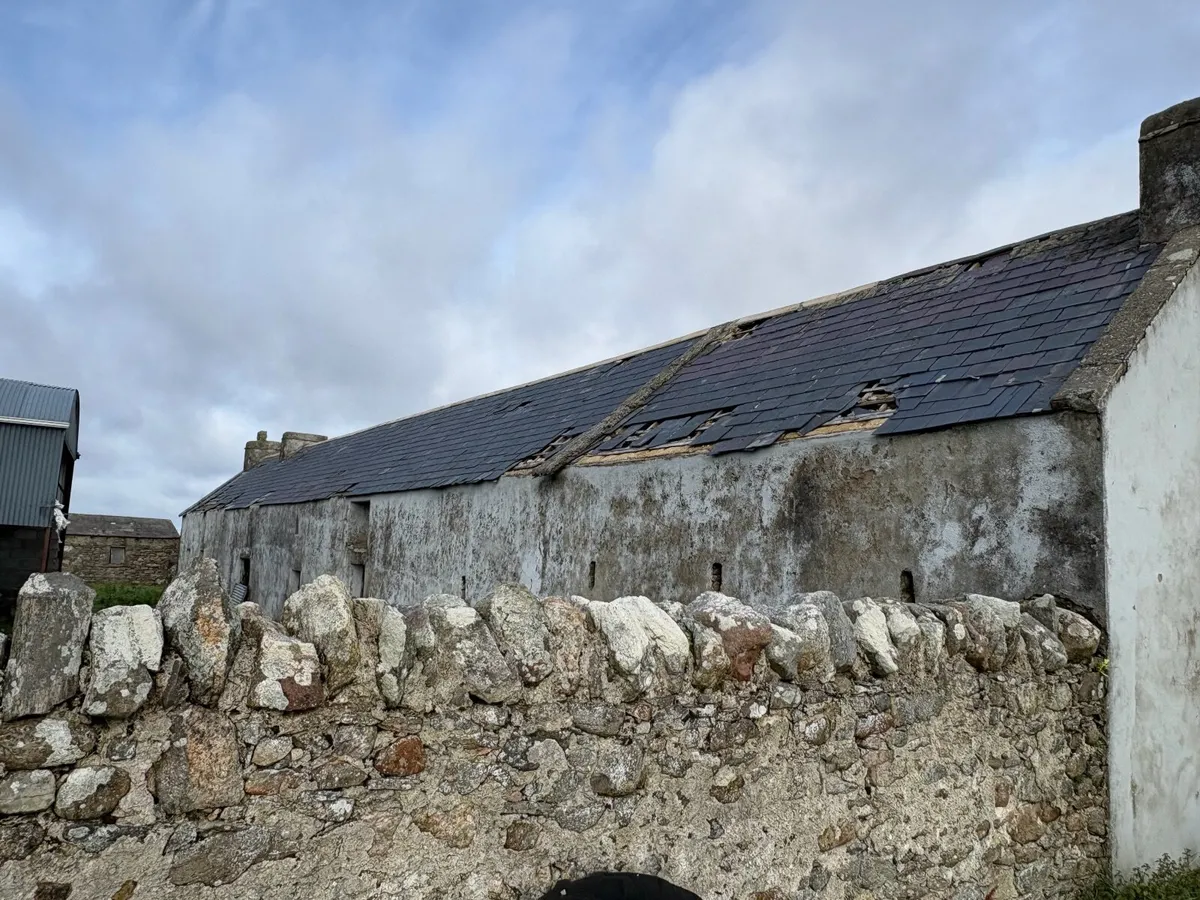 Blue Bangor Slates - You Must Remove - Image 1