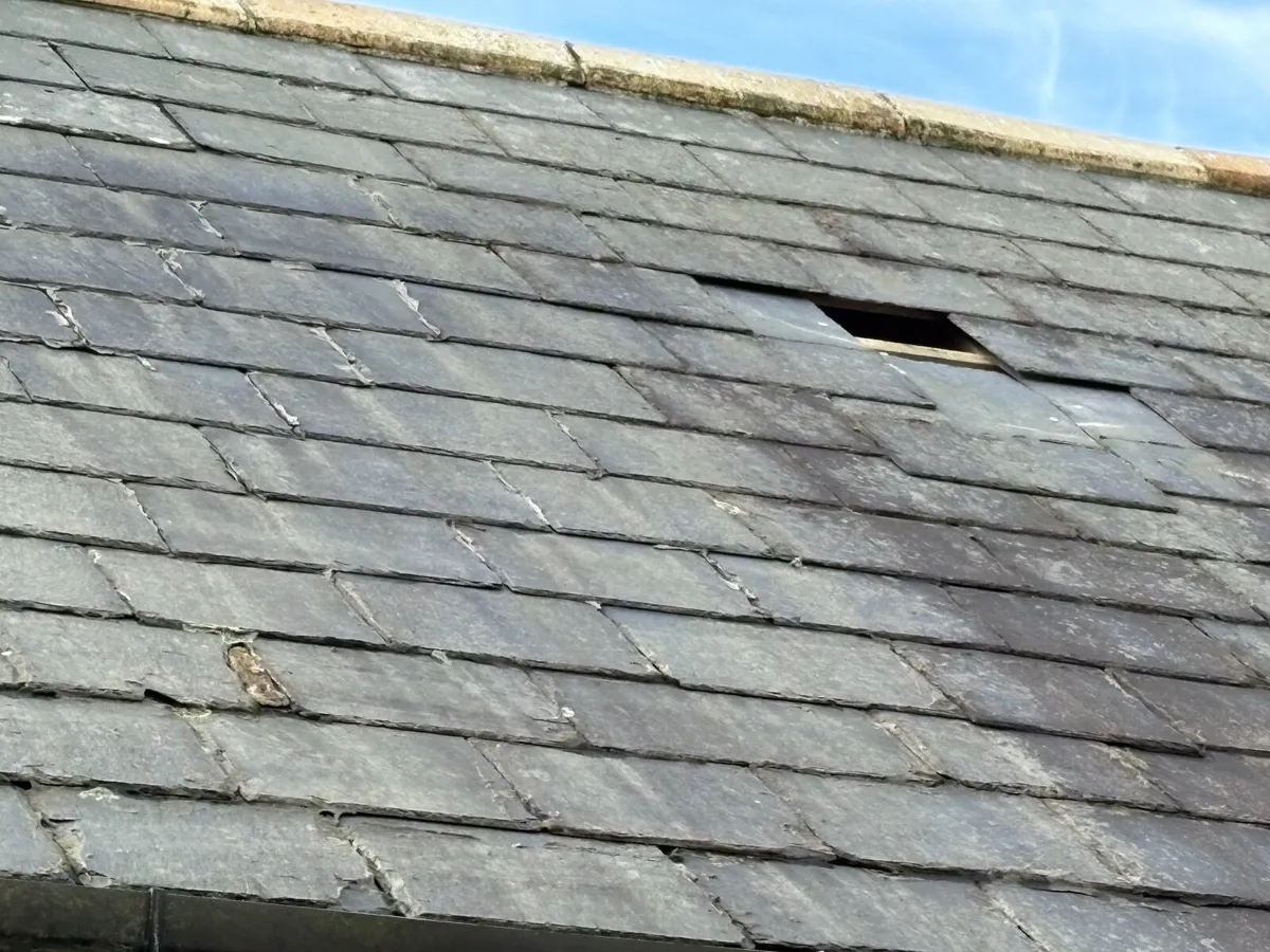 Blue Bangor Slates - You Must Remove - Image 2