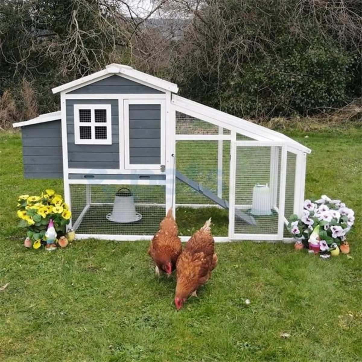Chicken Coop - Image 1