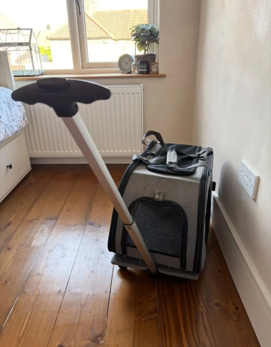 Cat Carrier x 1 - Image 1