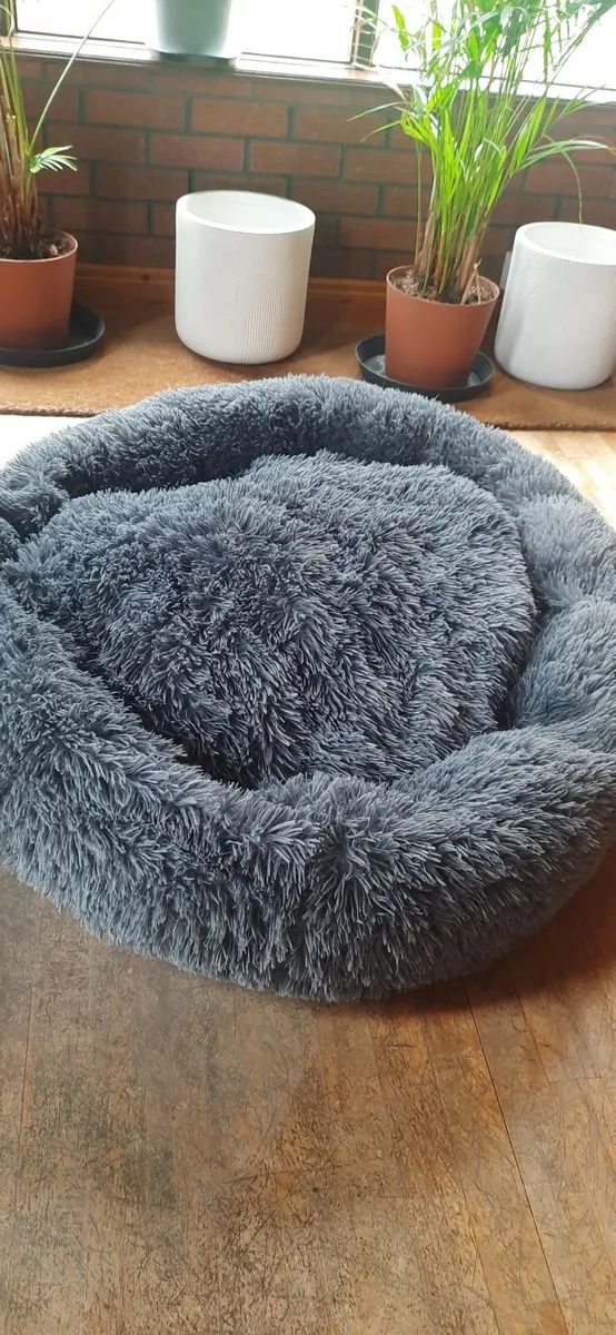XXXL Dog bed - Image 1