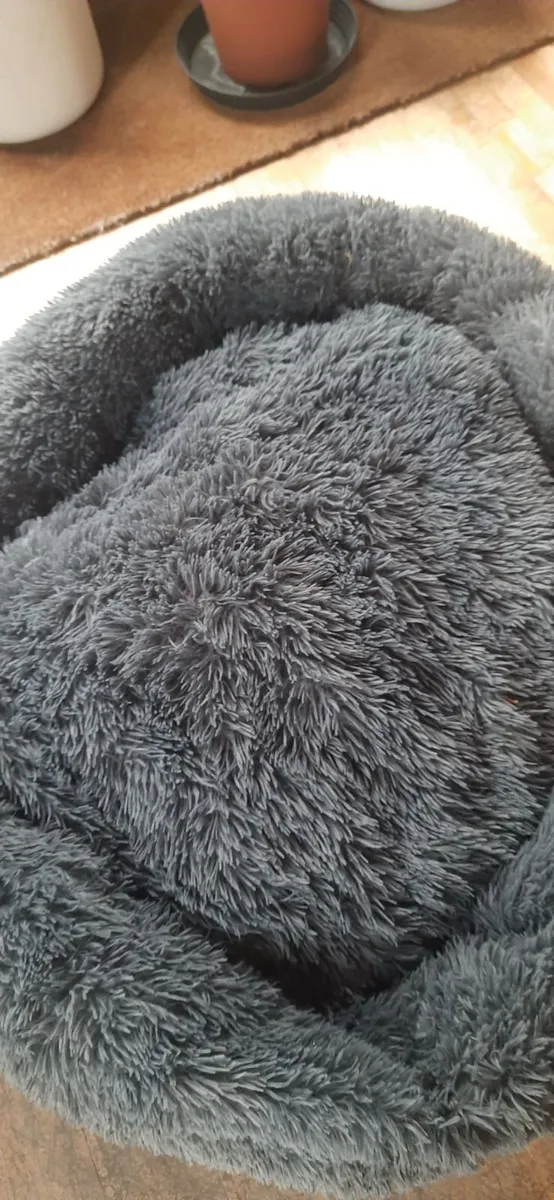 XXXL Dog bed - Image 2