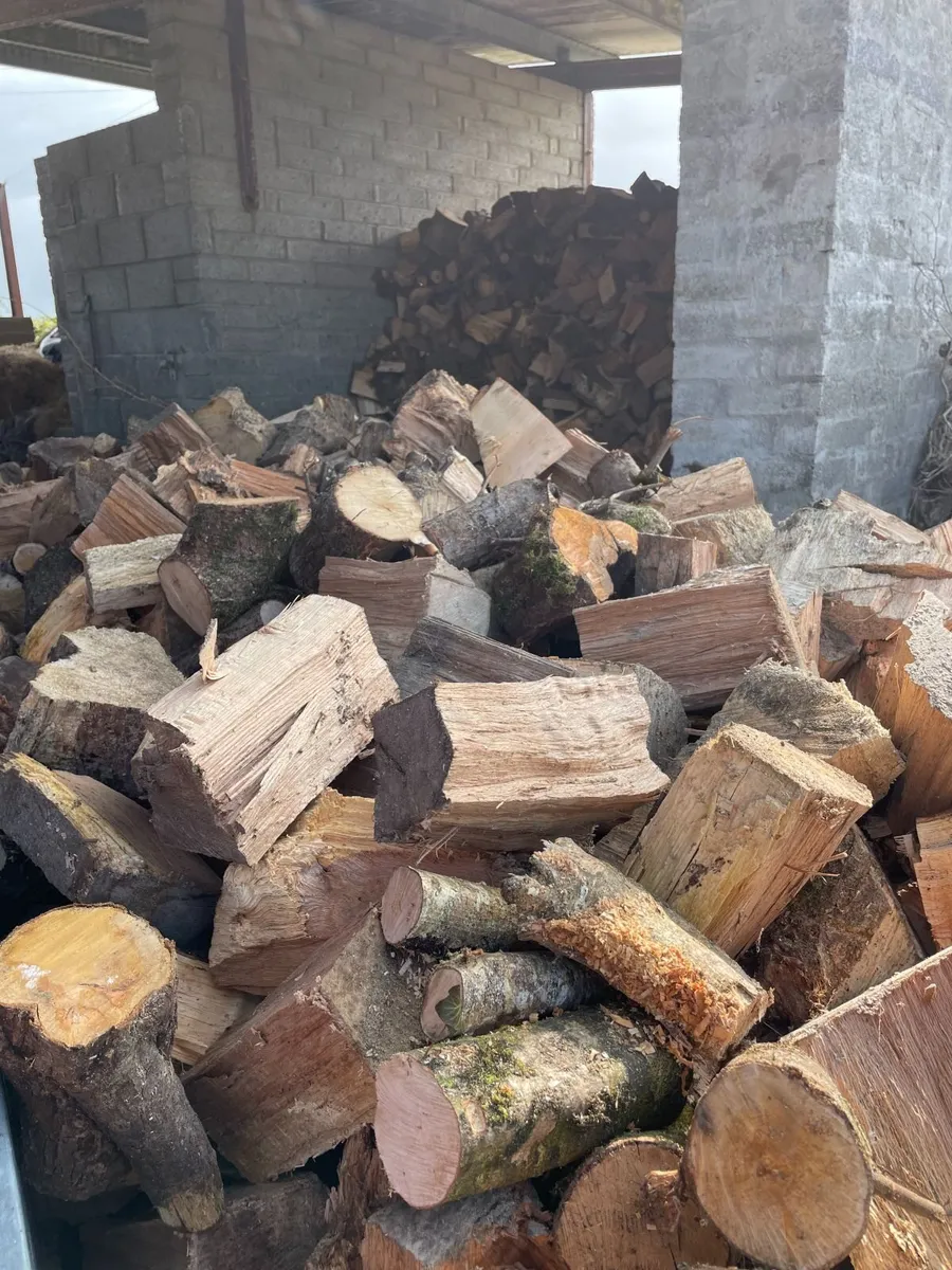 Firewood - Image 4