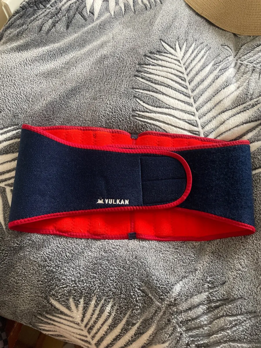 Vulkan Back Protection with Rails 3022 - Image 2