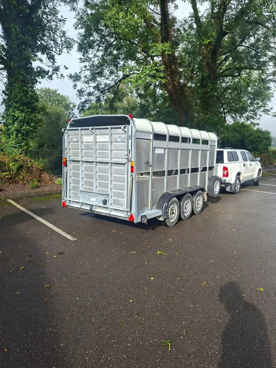 Ifor Williams trailer - Image 3