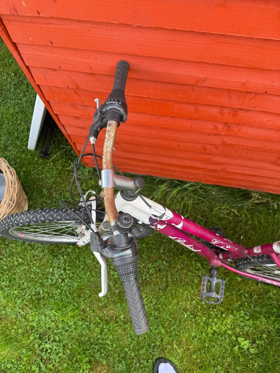 Raleigh Ladies Mountain Bike - Image 3