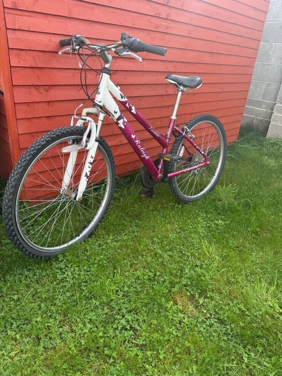 Raleigh Ladies Mountain Bike - Image 1
