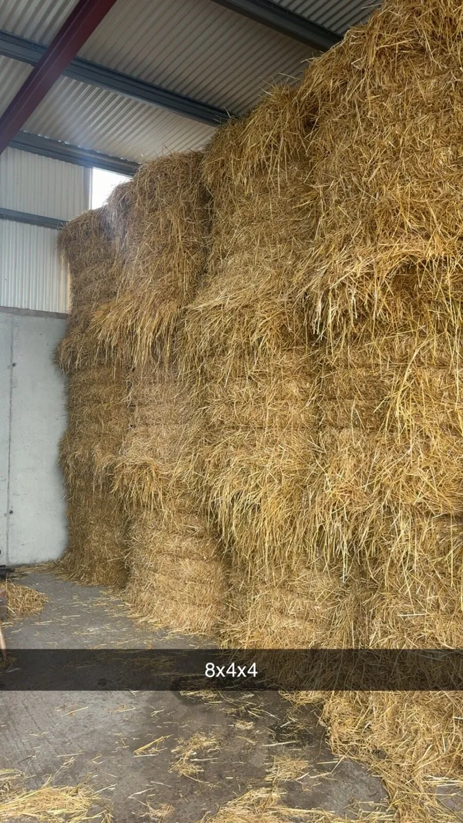 Straw - Image 3