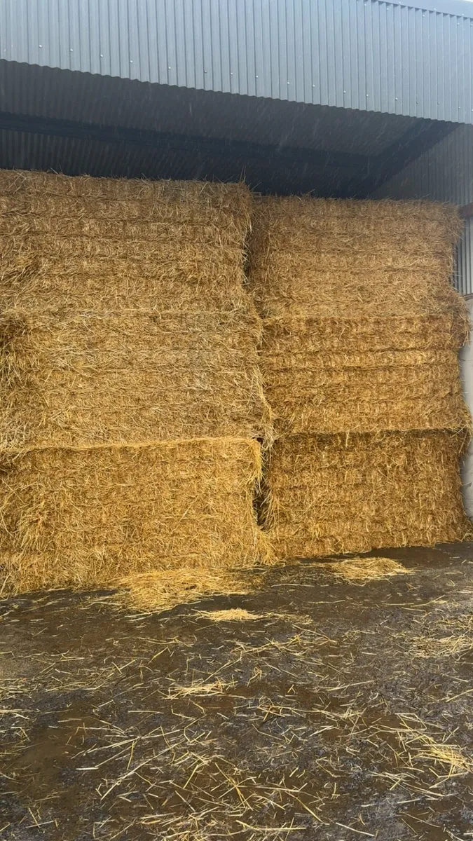 Straw - Image 4