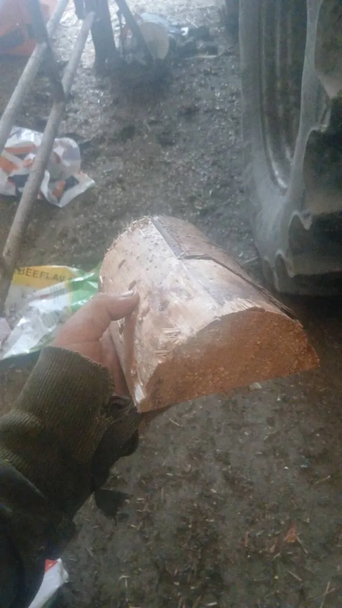 Firewood - Image 3