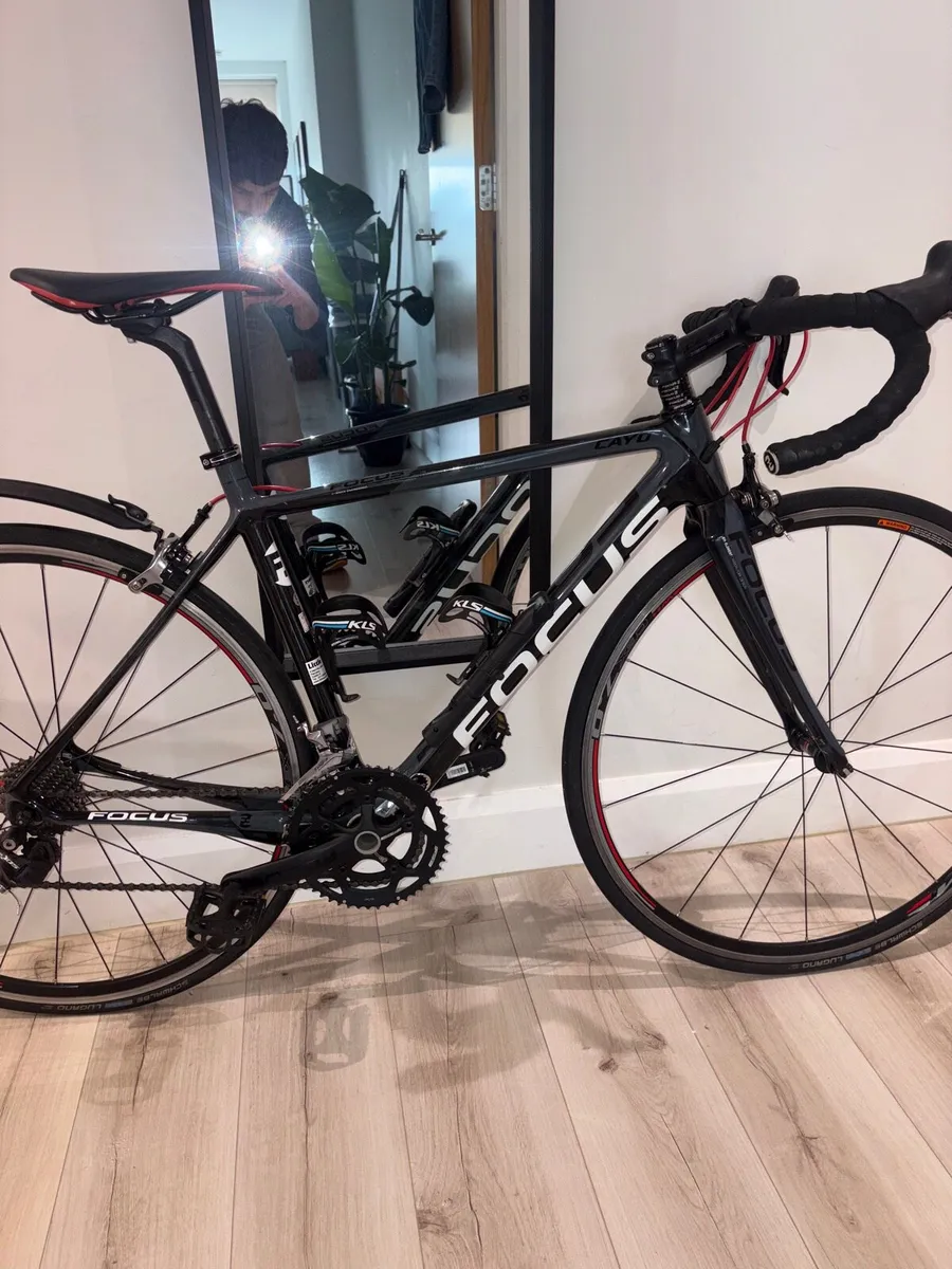 Focus Cayo Carbon Road Bike - Small - Immaculate - Image 2