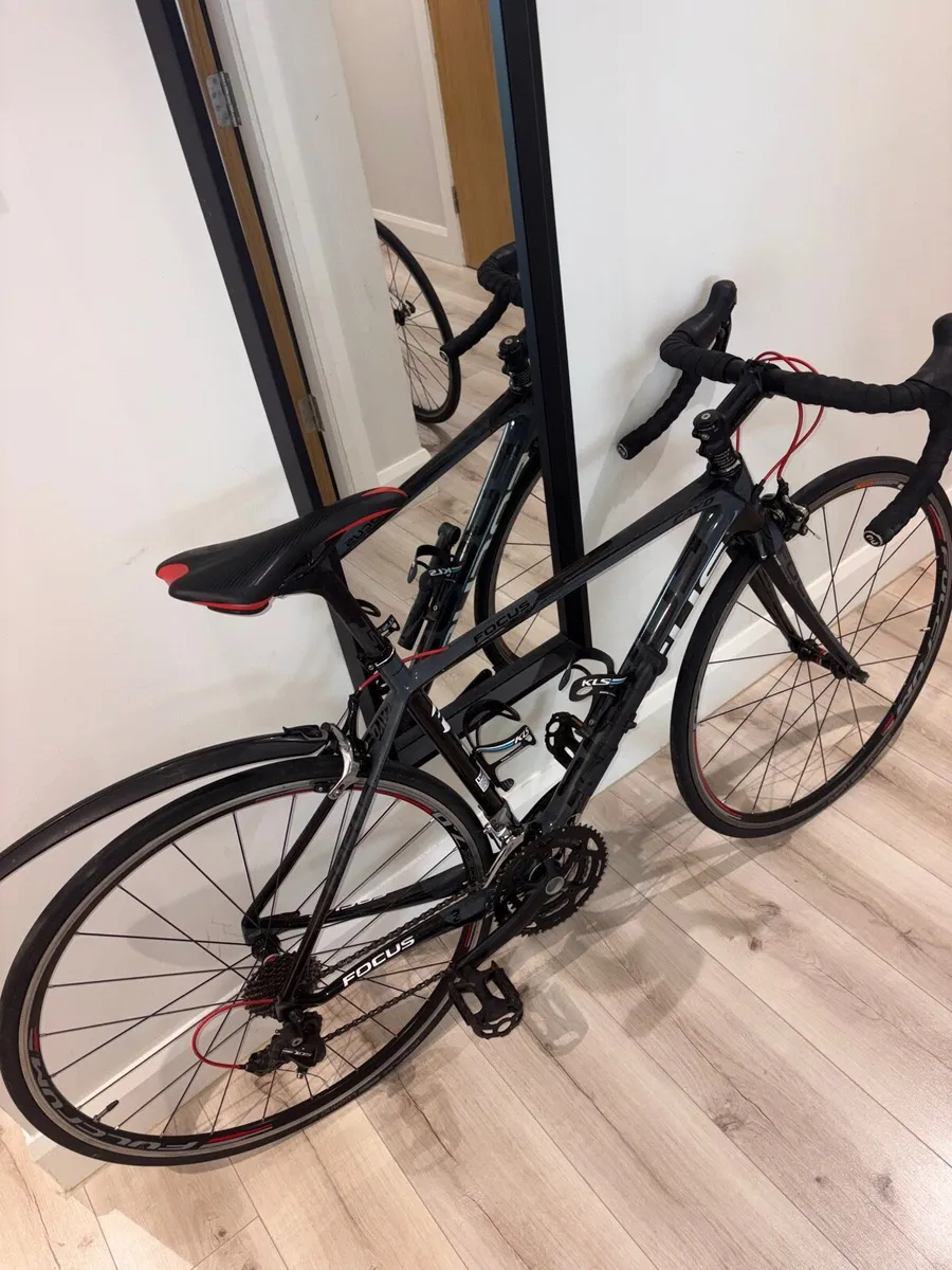 Focus Cayo Carbon Road Bike - Small - Immaculate - Image 3