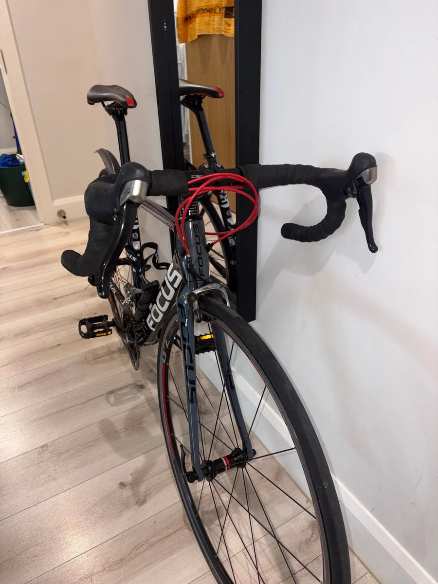Focus Cayo Carbon Road Bike - Small - Immaculate - Image 4
