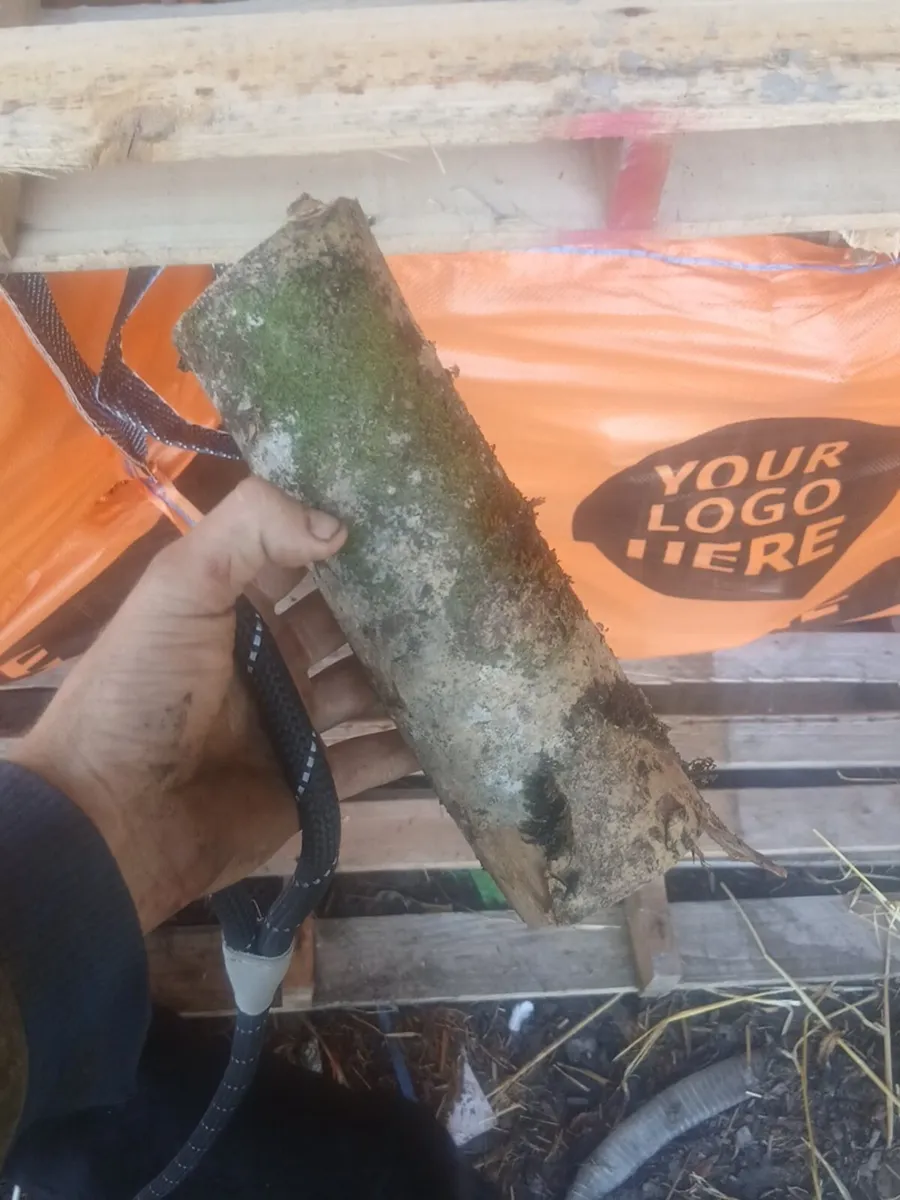 Firewood ash and spruce - Image 2